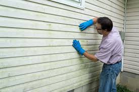 Best Vinyl Siding Installation  in Pinedale, WY